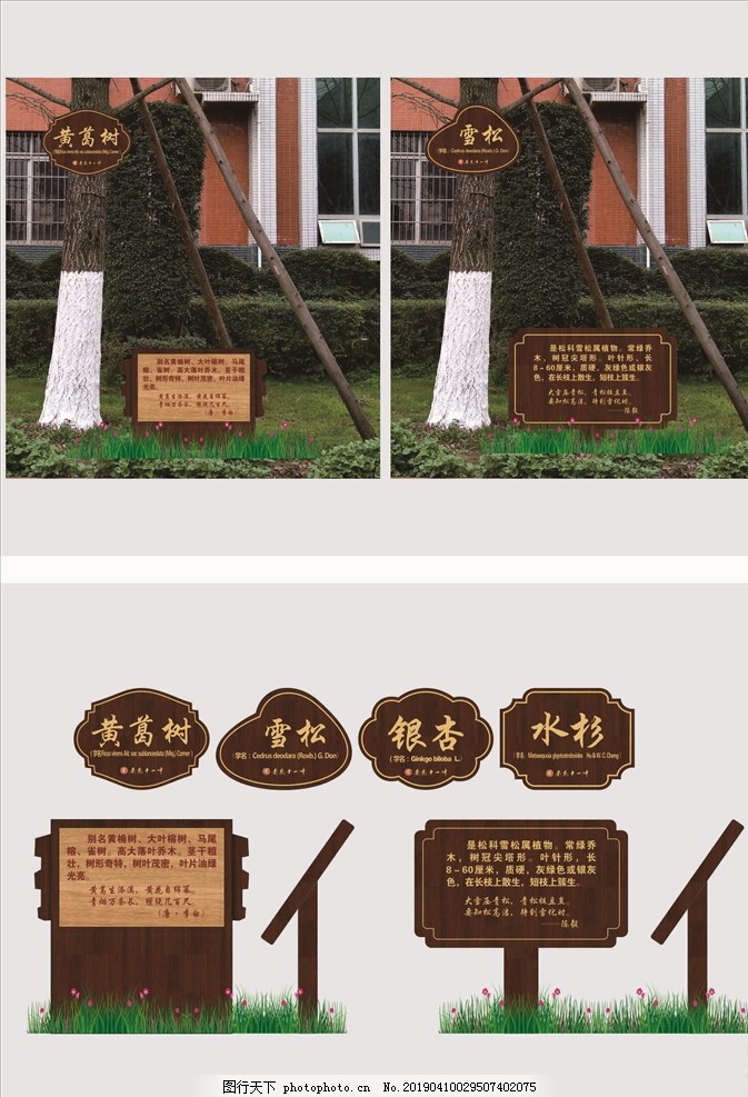 校园树名牌 方寸之间的自然教育与人文景观