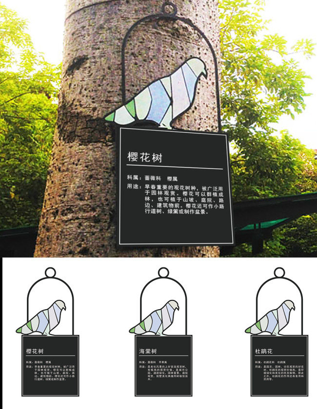 方寸之间见人文 树铭牌的设计与公共价值